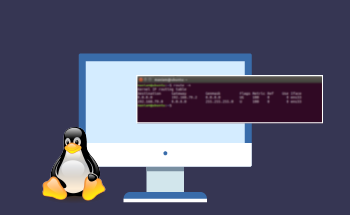 Was ist Routing: Erstellen von Routing-Tabellen unter Linux
