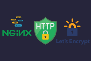 Sichere Web-Kommunikation: Wildcard HTTPS mit Let's Encrypt und Nginx