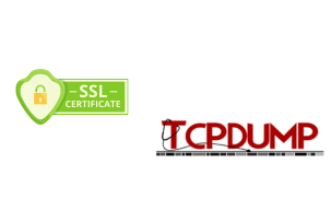 SSL-Handshake-Aufzeichnung mit tcpdump