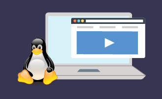 Die besten Angebote für Linux-Videobearbeitung im Jahr 2023