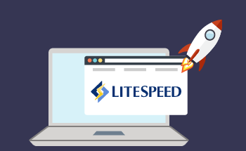 Litespeed-Webserver und Zwischenspeicherung