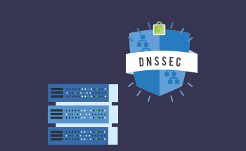 Was ist DNSSEC und warum ist es wichtig für Ihre Website